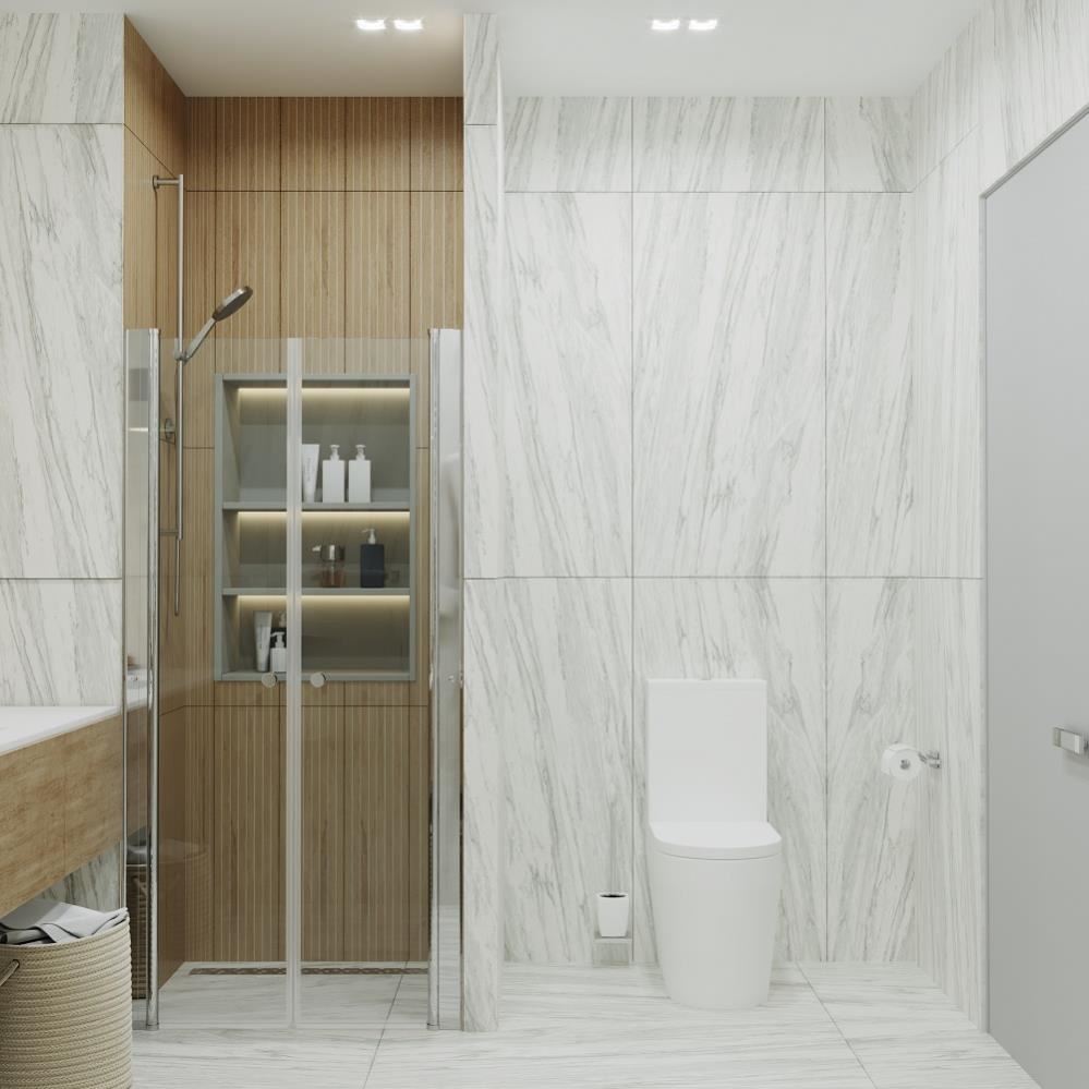 ТРИТОН Дверь душевая 