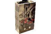 Газовый проточный водонагреватель WERTRUS 10EG RED GLASS