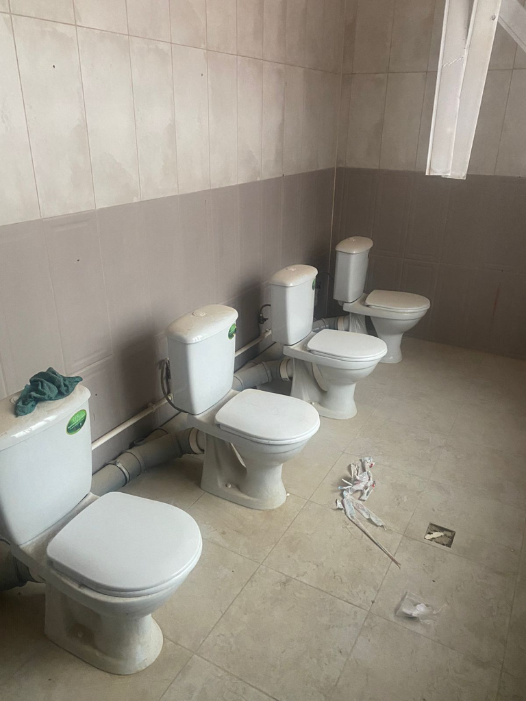 snapedit_1701074220483.png