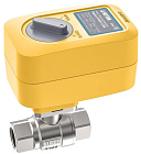 Кран  с электроприводом  Neptun Profi 220V 11/4"